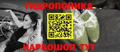spice Краснознаменск