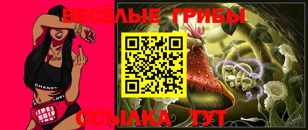 Псилоцибиновые грибы прущие грибы Знаменск